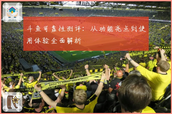 斗鱼可靠性测评:从功能亮点到使用体验全面解析