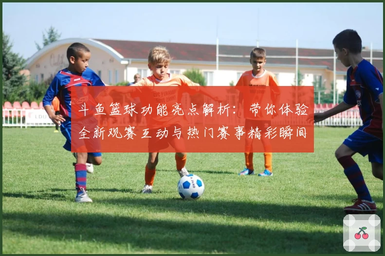斗鱼篮球功能亮点解析：带你体验全新观赛互动与热门赛事精彩瞬间