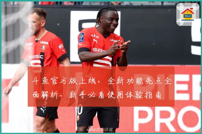斗鱼官方版上线，全新功能亮点全面解析，新手必看使用体验指南