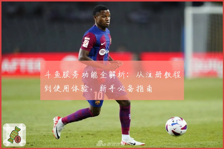 斗鱼服务功能全解析：从注册教程到使用体验，新手必备指南