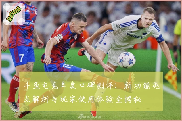 斗鱼电竞年度口碑测评：新功能亮点解析与玩家使用体验全揭秘