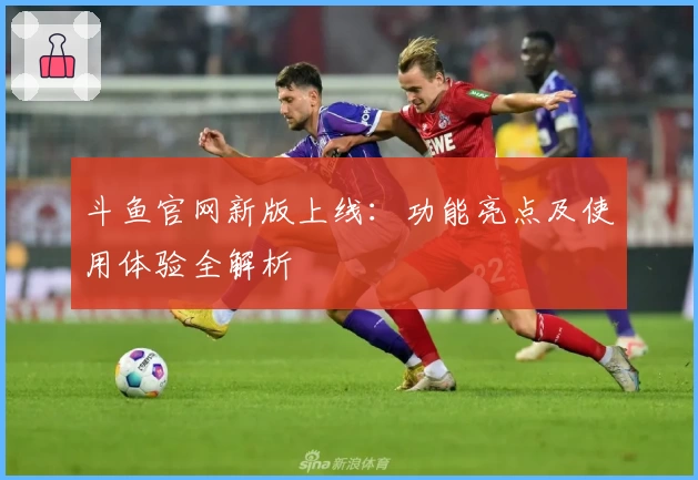 斗鱼官网新版上线：功能亮点及使用体验全解析