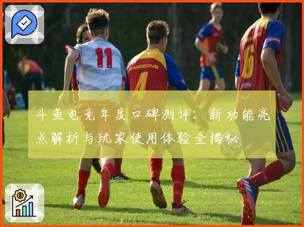 斗鱼电竞年度口碑测评：新功能亮点解析与玩家使用体验全揭秘