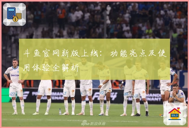 斗鱼官网新版上线：功能亮点及使用体验全解析