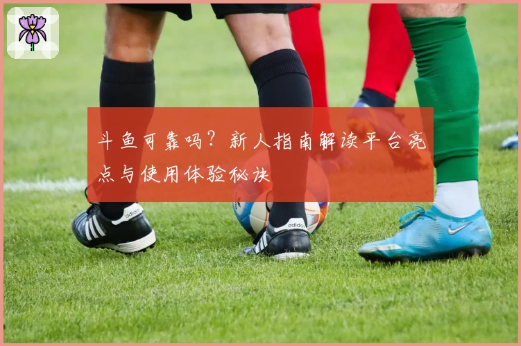 斗鱼可靠吗？新人指南解读平台亮点与使用体验秘诀