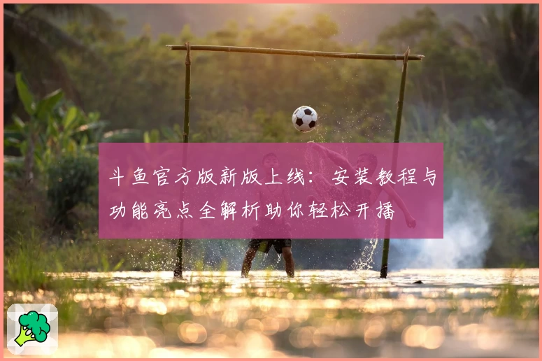 斗鱼官方版新版上线：安装教程与功能亮点全解析助你轻松开播