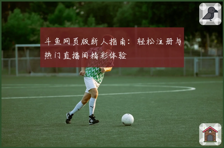 斗鱼网页版新人指南：轻松注册与热门直播间精彩体验