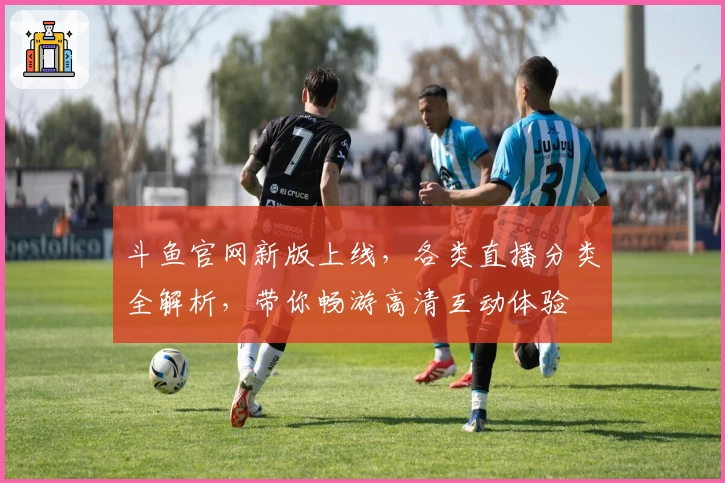 斗鱼官网新版上线,各类直播分类全解析,带你畅游高清互动体验